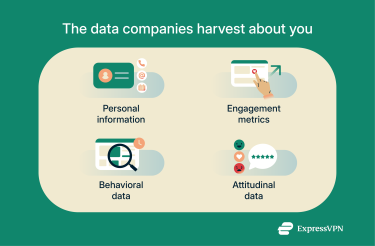 The data companies collect about you