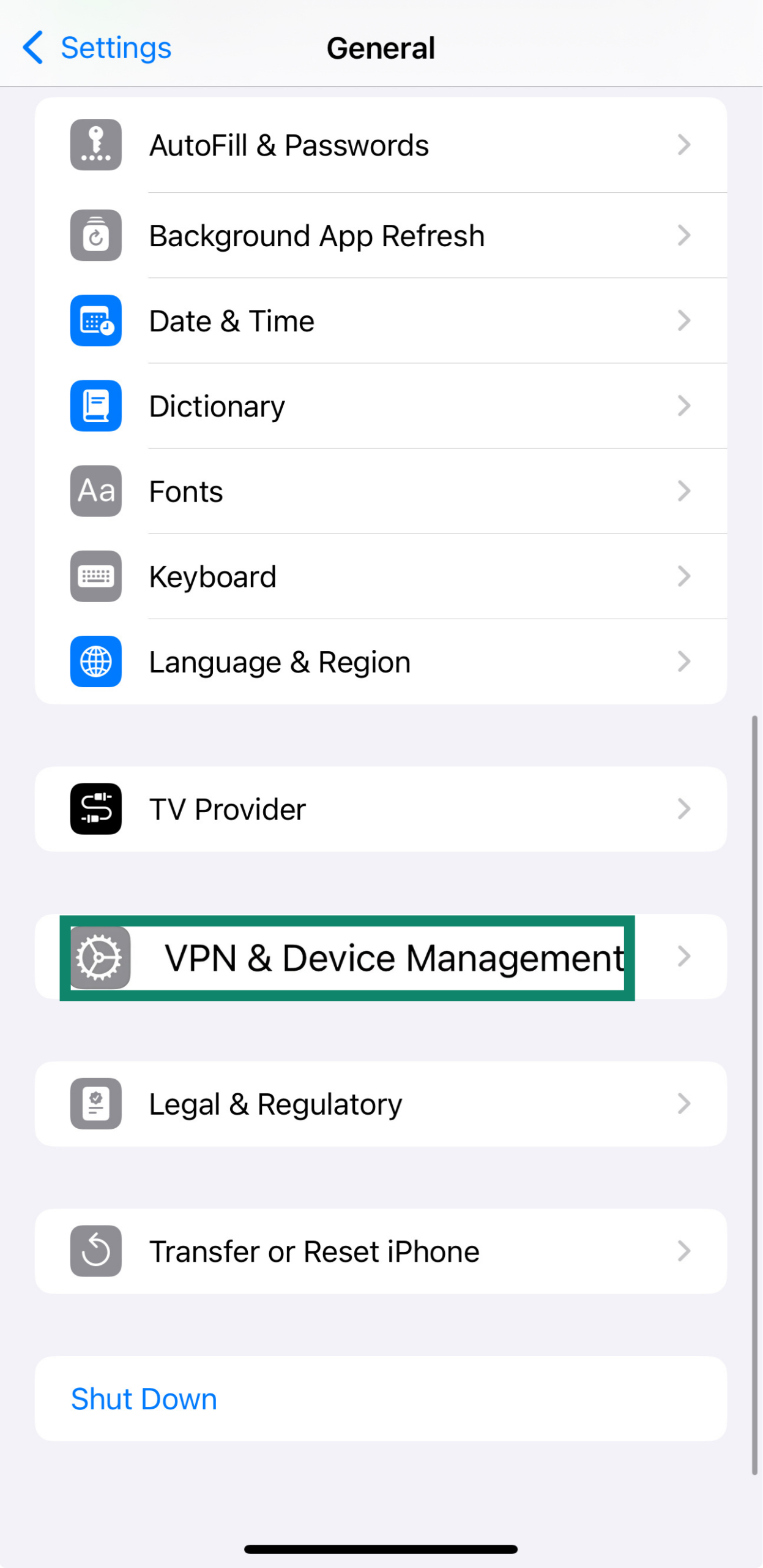 An iPhone's VPN & Device Management option.