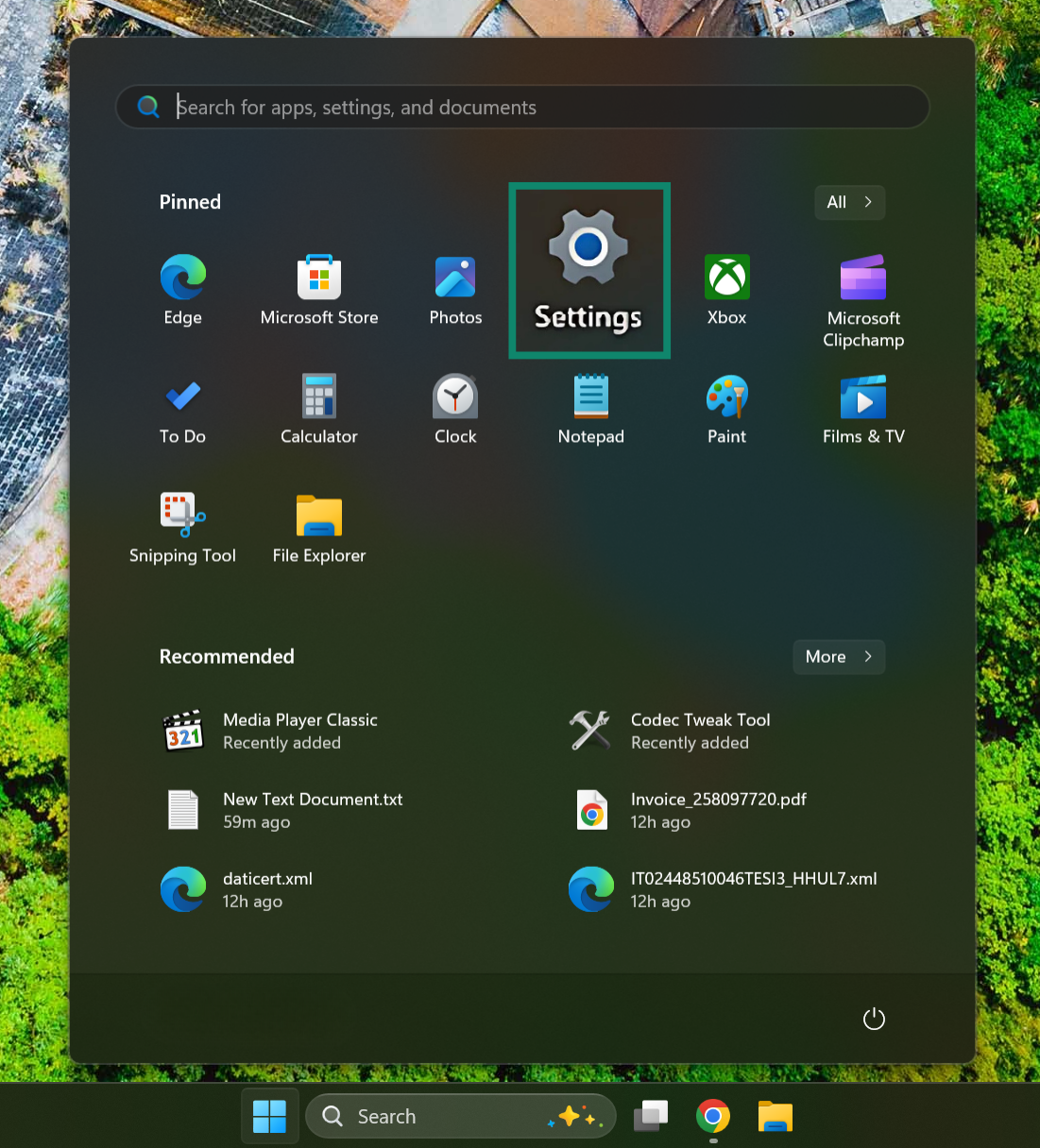 Windows 11 highlighting the Settings app.