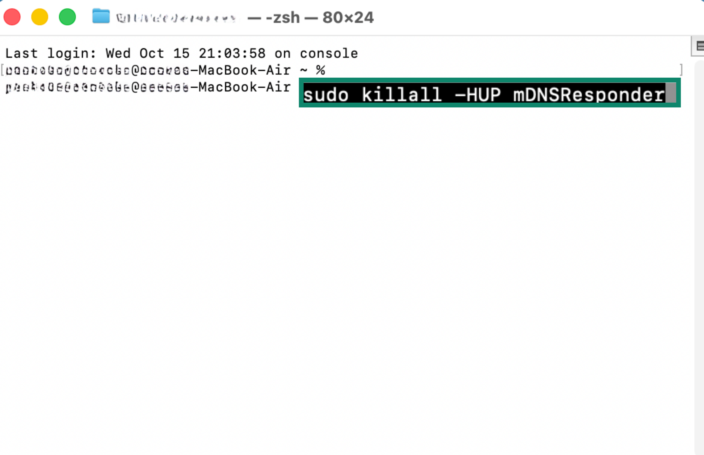 MacOS terminal window, showing a FlushDNS command.